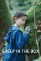 Nonton Film Sheep in the Box Sub Indo