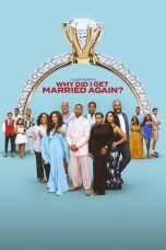 Nonton Film Why Did I Get Married Again? Sub Indo